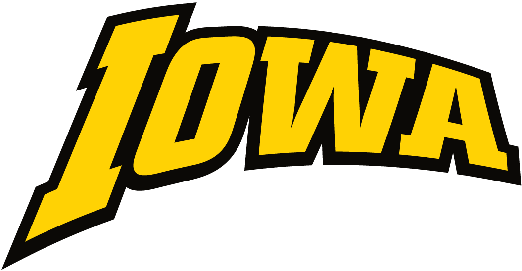 Iowa Hawkeyes 2002-Pres Wordmark Logo t shirts iron on transfers v2